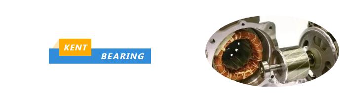 MOTOR BEARINGS 6