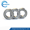 6304 6305 6306 Motor Bearing with SGS ROHS Certification